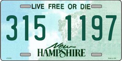 NH license plate 3151197