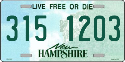 NH license plate 3151203