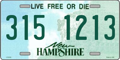 NH license plate 3151213