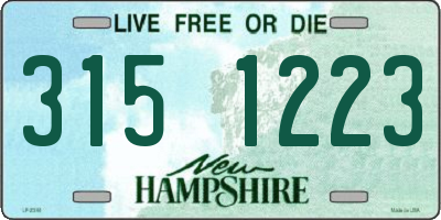 NH license plate 3151223