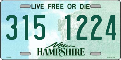 NH license plate 3151224