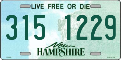 NH license plate 3151229