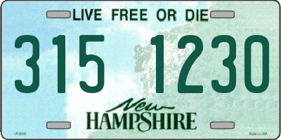 NH license plate 3151230