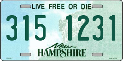 NH license plate 3151231