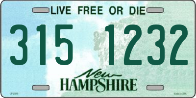 NH license plate 3151232