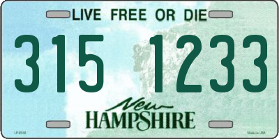 NH license plate 3151233