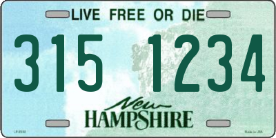 NH license plate 3151234
