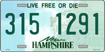 NH license plate 3151291