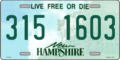 NH license plate 3151603
