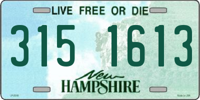 NH license plate 3151613
