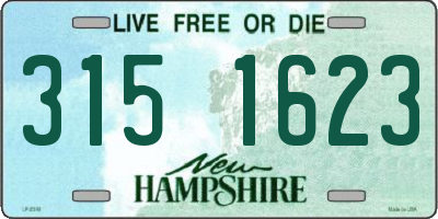 NH license plate 3151623