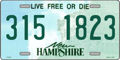 NH license plate 3151823