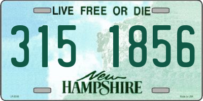 NH license plate 3151856