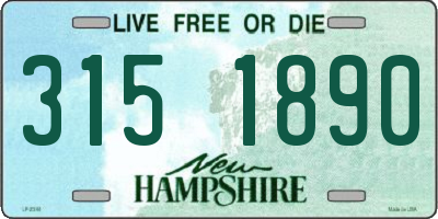NH license plate 3151890
