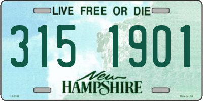 NH license plate 3151901