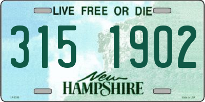 NH license plate 3151902