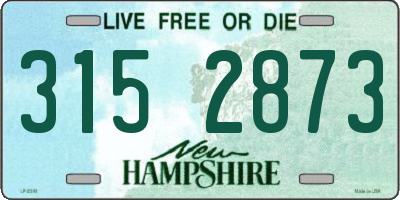 NH license plate 3152873