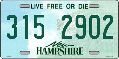 NH license plate 3152902