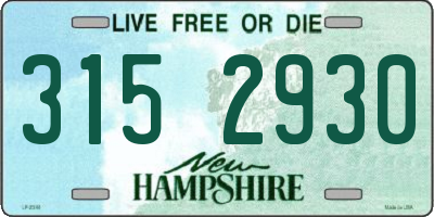 NH license plate 3152930