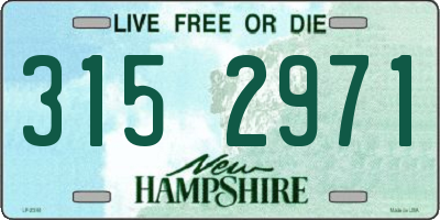 NH license plate 3152971