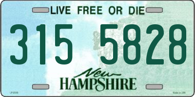 NH license plate 3155828