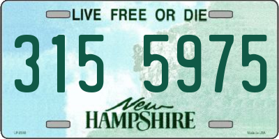 NH license plate 3155975