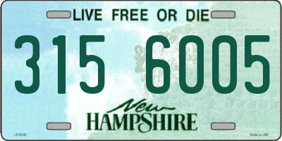 NH license plate 3156005