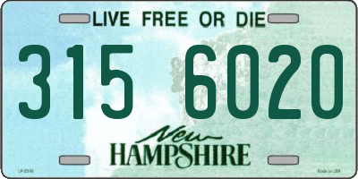 NH license plate 3156020