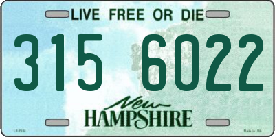 NH license plate 3156022