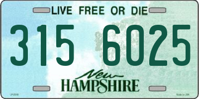 NH license plate 3156025