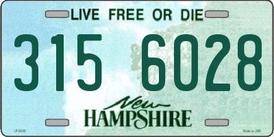 NH license plate 3156028