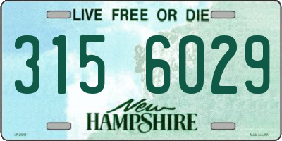 NH license plate 3156029