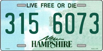 NH license plate 3156073
