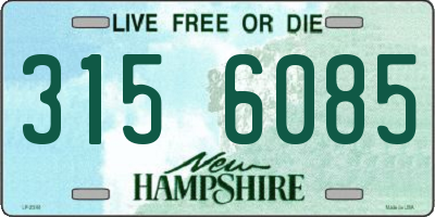 NH license plate 3156085