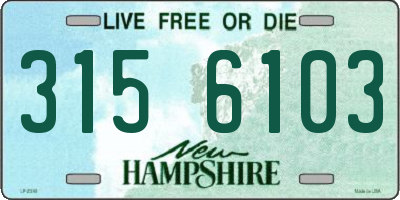 NH license plate 3156103