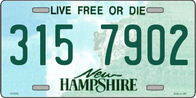 NH license plate 3157902