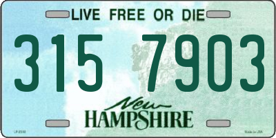 NH license plate 3157903