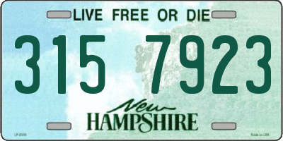 NH license plate 3157923