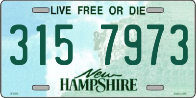 NH license plate 3157973