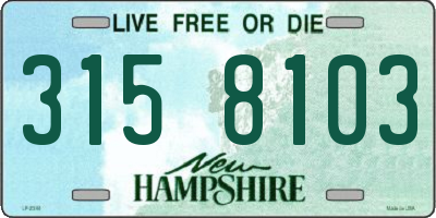 NH license plate 3158103