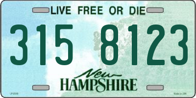 NH license plate 3158123