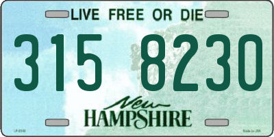 NH license plate 3158230