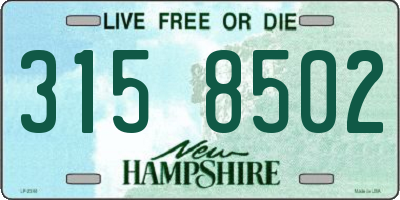NH license plate 3158502