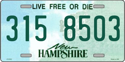 NH license plate 3158503