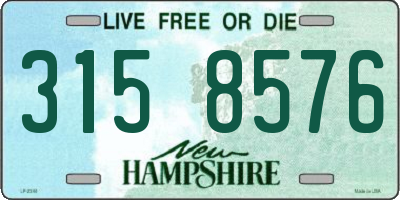 NH license plate 3158576