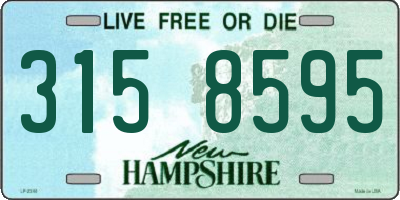 NH license plate 3158595