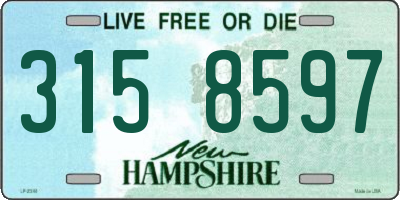 NH license plate 3158597