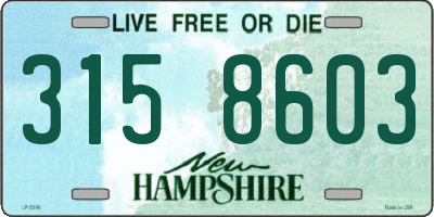 NH license plate 3158603