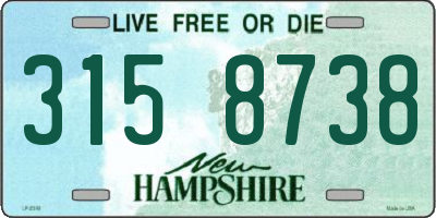 NH license plate 3158738