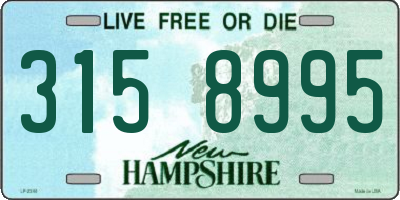 NH license plate 3158995
